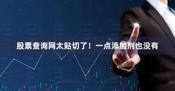 股票查询网太贴切了！一点添加剂也没有