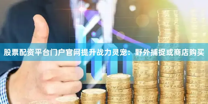 股票配资平台门户官网提升战力灵宠:野外捕捉或商店购买