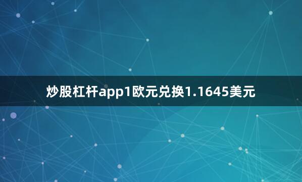 炒股杠杆app1欧元兑换1.1645美元