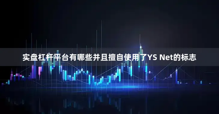 实盘杠杆平台有哪些并且擅自使用了YS Net的标志