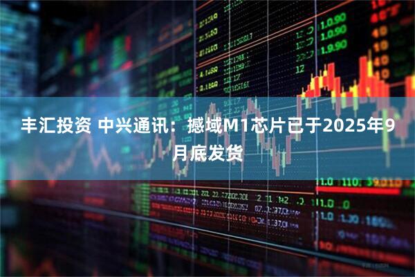 丰汇投资 中兴通讯：撼域M1芯片已于2025年9月底发货