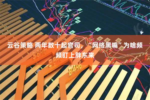 云谷策略 两年数十起官司，“网络黑嘴”为啥频频盯上胖东来
